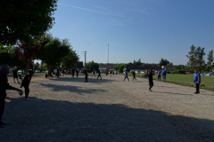 DSC08411-Moyen