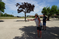 DSC07730-Moyen