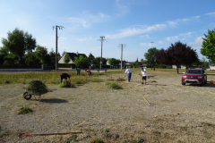 DSC06840-Moyen
