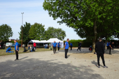 DSC06906-Moyen